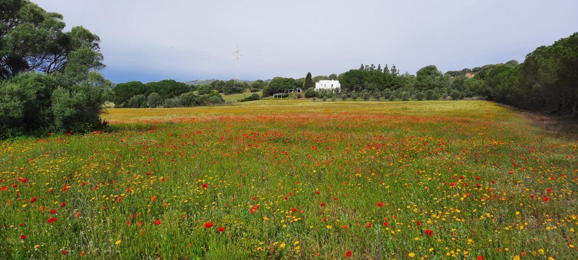 Agreen Country House Olbia Buitenkant foto