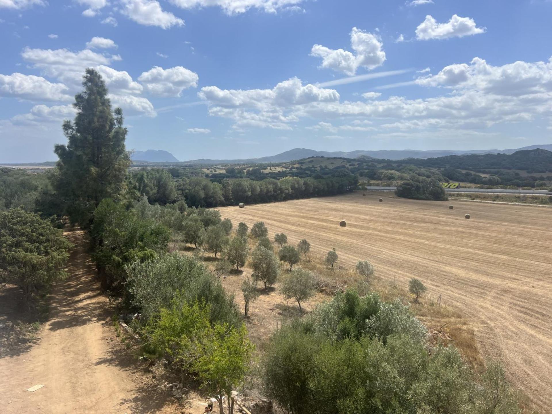 Agreen Country House Olbia Buitenkant foto