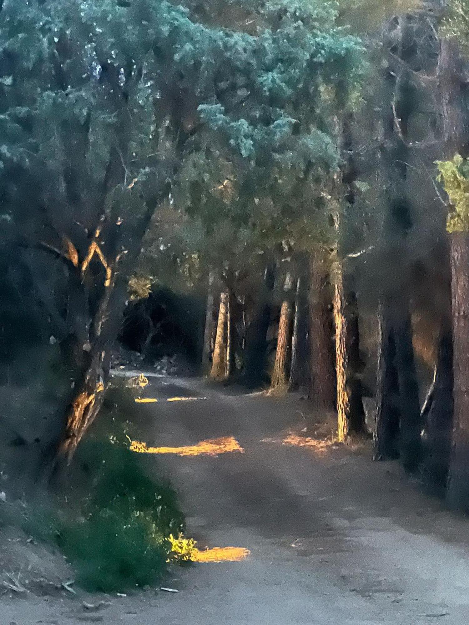 Agreen Country House Olbia Buitenkant foto